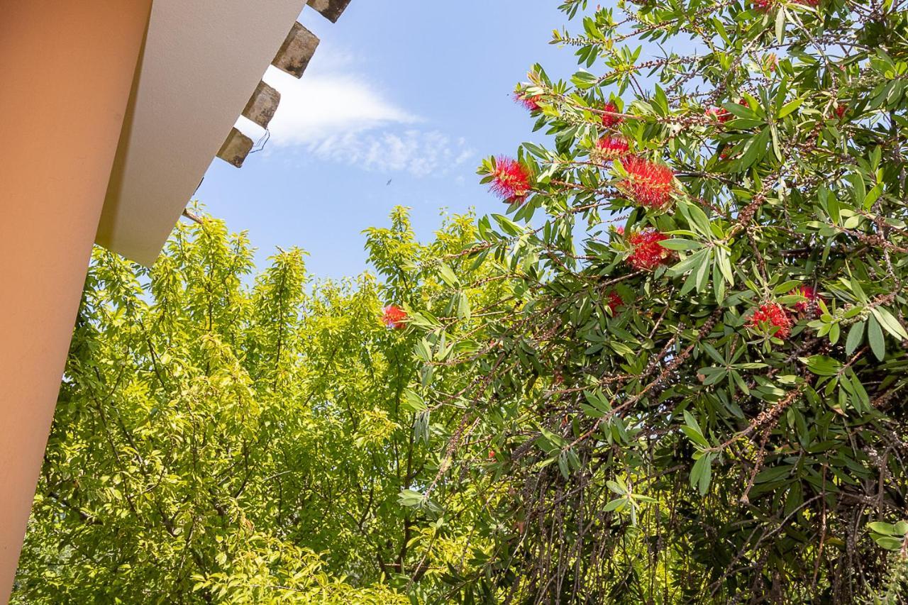 Villa Caterina La Maddalena  외부 사진